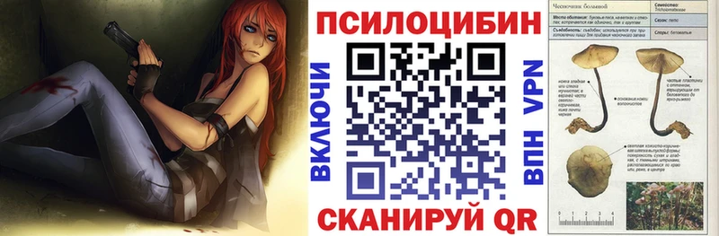 Псилоцибиновые грибы Psilocybe  Боготол 